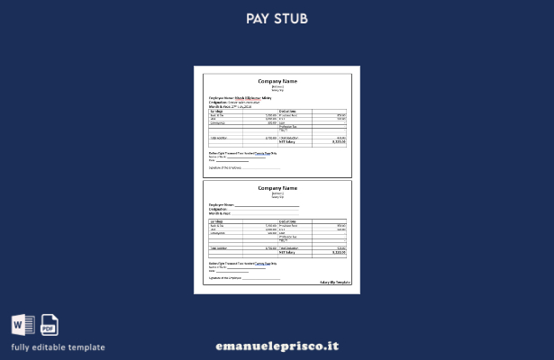 stile verificato Modello di busta paga per dirigente vendite senior